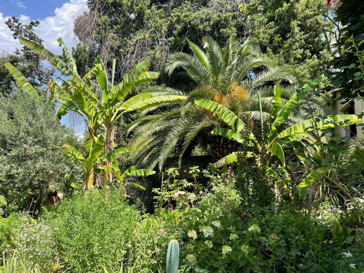 Villa Leona Clim Park Bollene Exterior photo